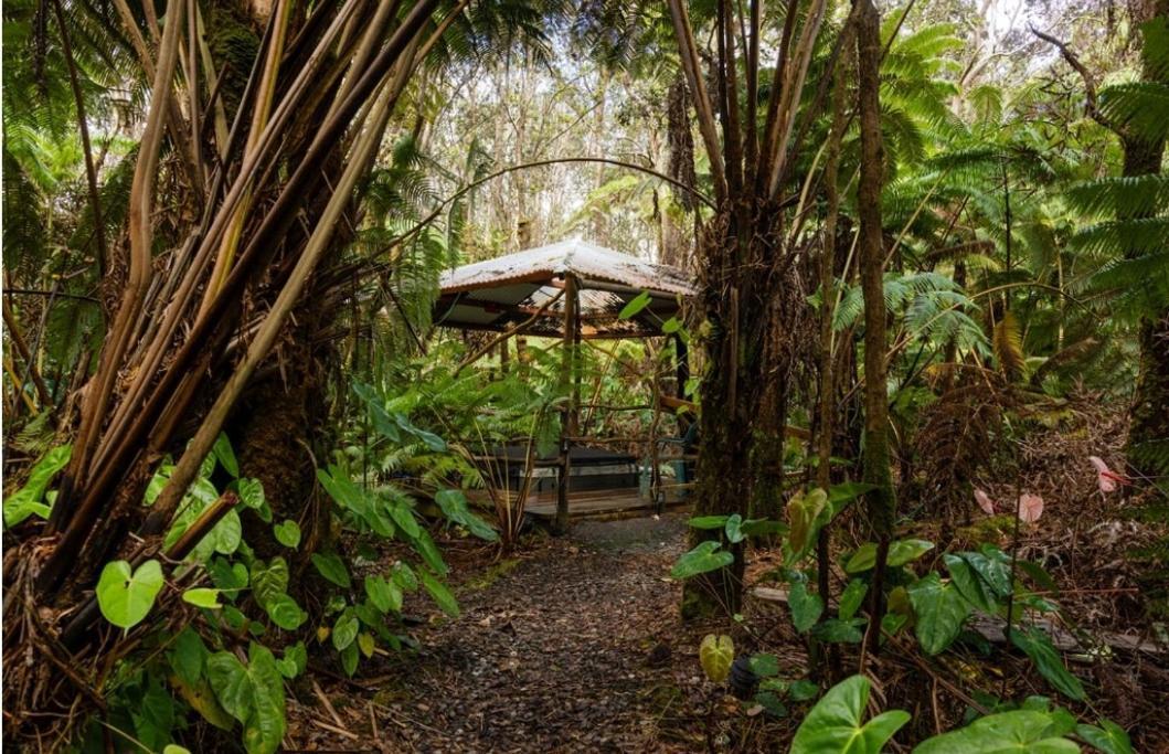 Halema'Uma'U- Hale Kumu La'Au Villa Volcano Exteriör bild